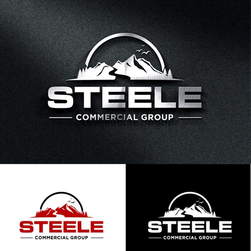 Steele Commercial Group Design réalisé par X-DNA