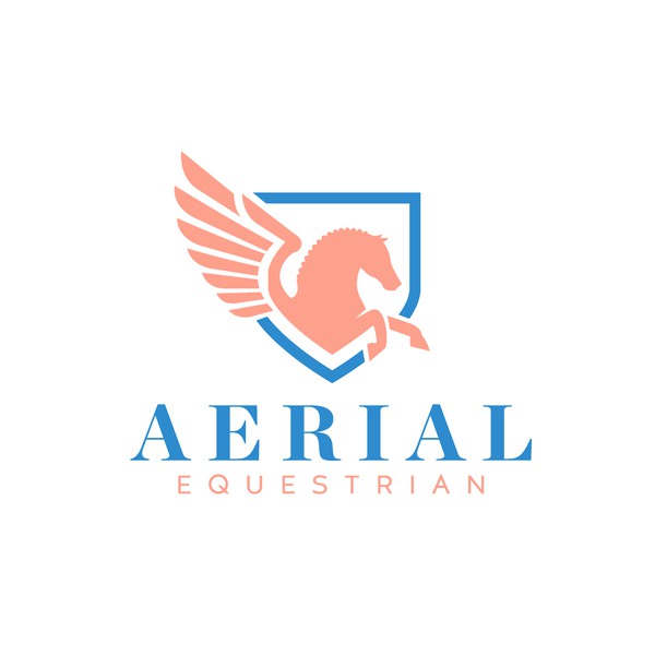 Aerial Equestrian_Logo