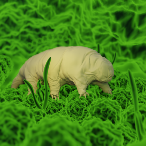 Draw beautiful, natural tardigrades Design by clayStick