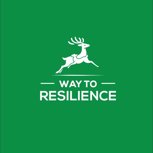 Design by mysterius titled "way to resience"