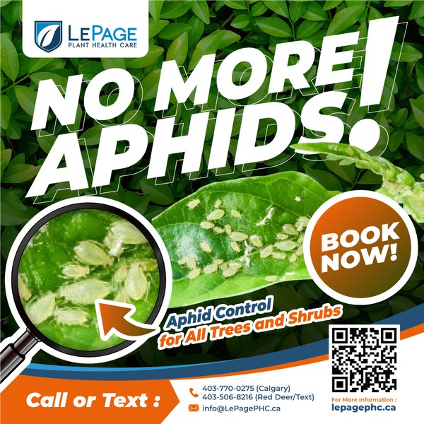 Aphid Control Banner