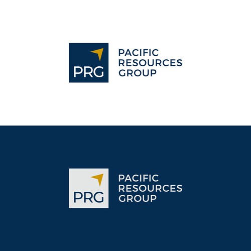 PRG Logo and Brand Guide Design by GraphicAjwa