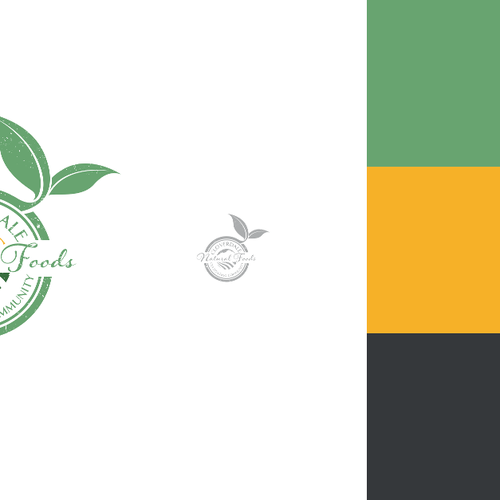 Natural grocery store Logo Design by dx46