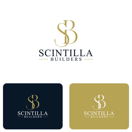 "Clean, high end, modern construction logo" winning Book cover