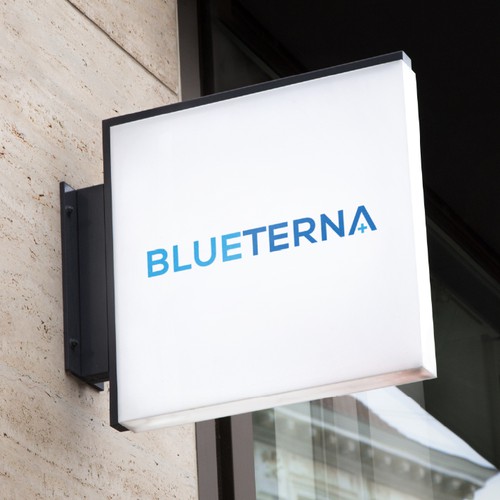 Blueterna Branding contest Design by Imam H.