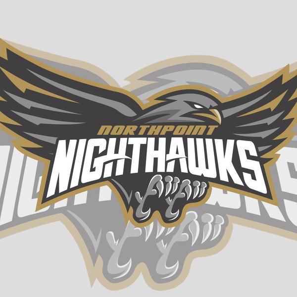 Design by VICDSGN001 titled "NightHawks logo"