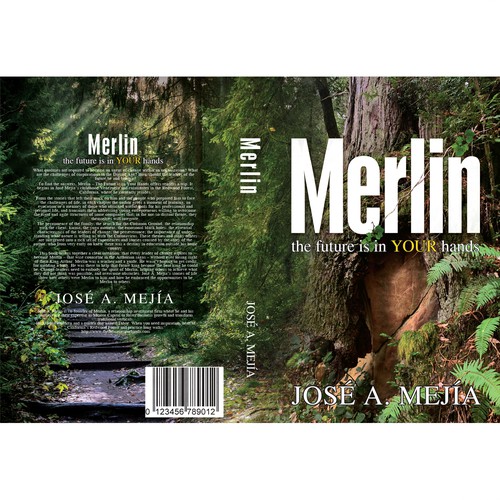 Book Cover Design for a  Personal Development Book Design by BeyondImagination