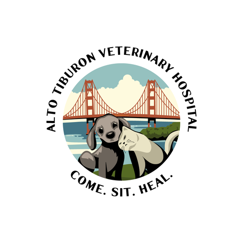 Fun Veterinary Hospital Logo Design by MFriederich