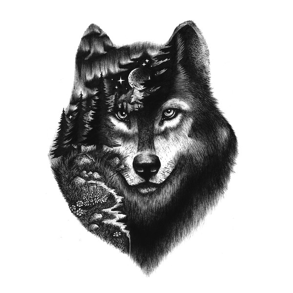 Wise Wolf 