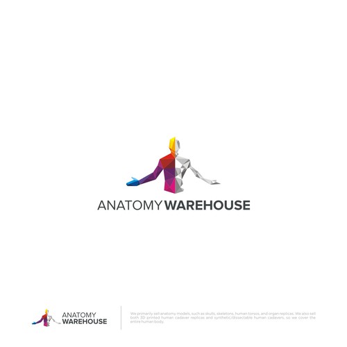 Anatomical Model Co. Looking for Creative, Modern Yet Timeless Logo With Human Anatomy Logo