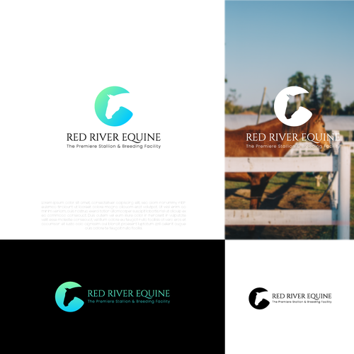 Red River Equine - Premiere Facility Design by pixel-craft.site