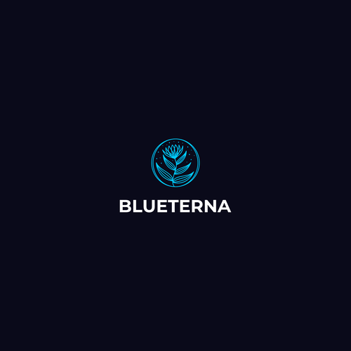 Blueterna Branding contest Design by Blessing.Std