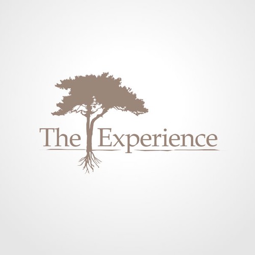Modern logo needed for The Experience Design by HECA
