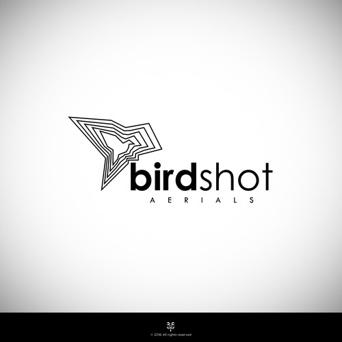 Create a high-flying view for Birdshot Aerials Design by Mastah Killah 187