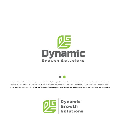 Dynamic Growth Solutions Design by design canvas