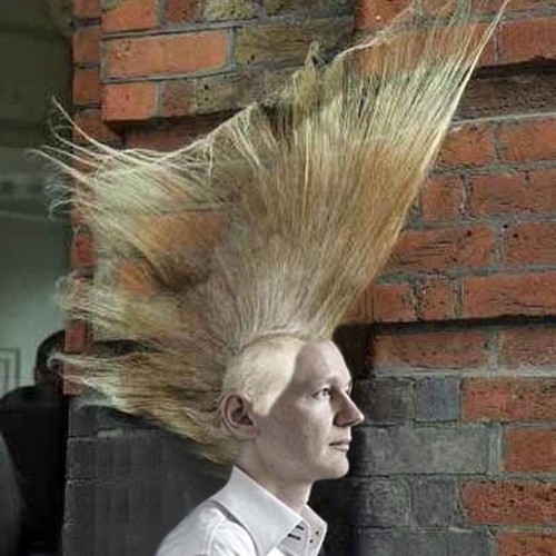 Design the next great hair style for Julian Assange (Wikileaks) Design by Isabels Designs