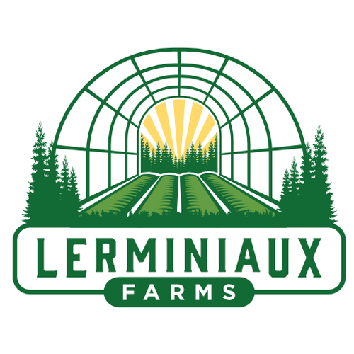 Modern/Abstract logo for small upstate NY vegetable farm. Design by metaXsu