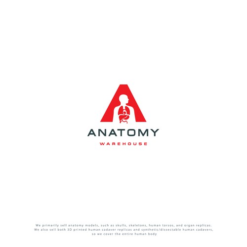 Anatomical Model Co. Looking for Creative, Modern Yet Timeless Logo With Human Anatomy Logo