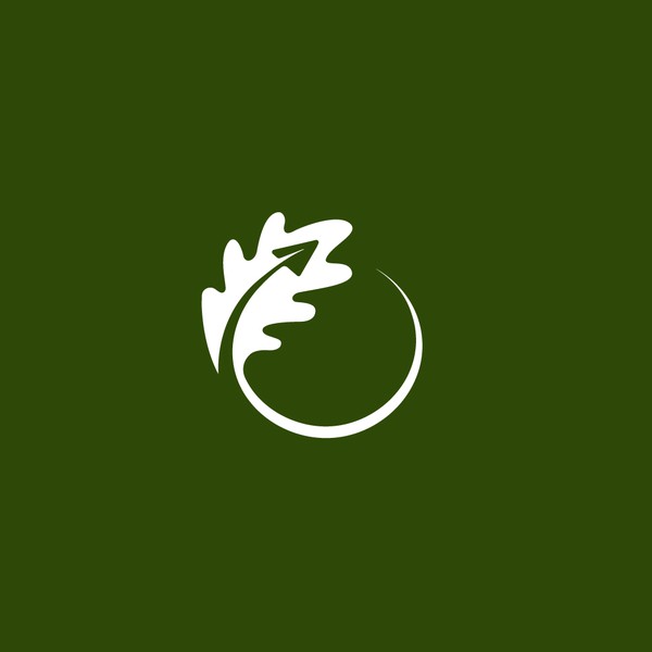 Design by Artetive Studio titled "OAK Leaf + Paperplane logo for travel agency"