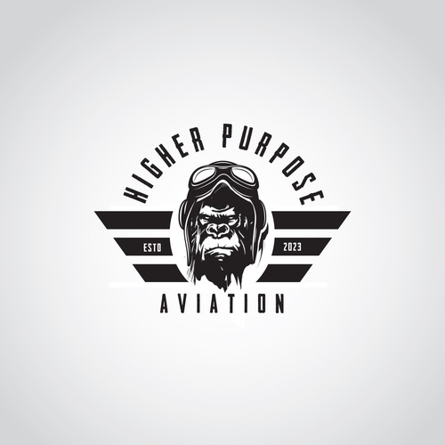 Higher Purpose Aviation Design by ClaudioRegina