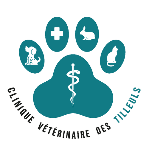  contest entry by Mélanie Moral