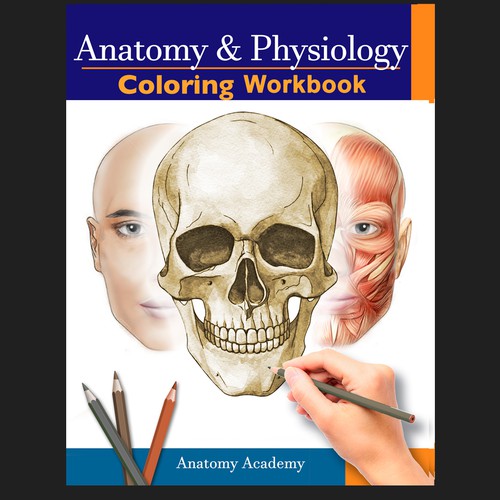 best anatomy physiology coloring book