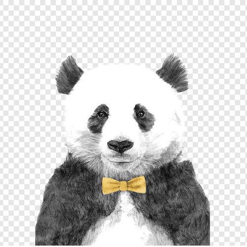 Panda.PNG
