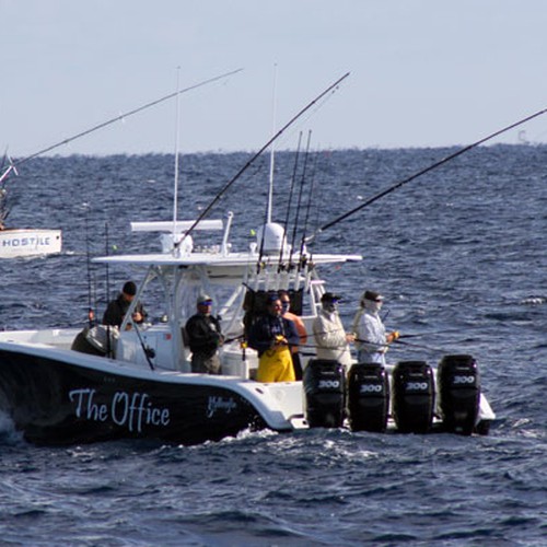 yellowfin_42cc_02.jpg