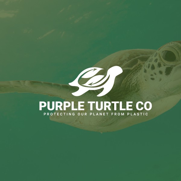 Design by PixelAgent titled "Purple Turtle logo"