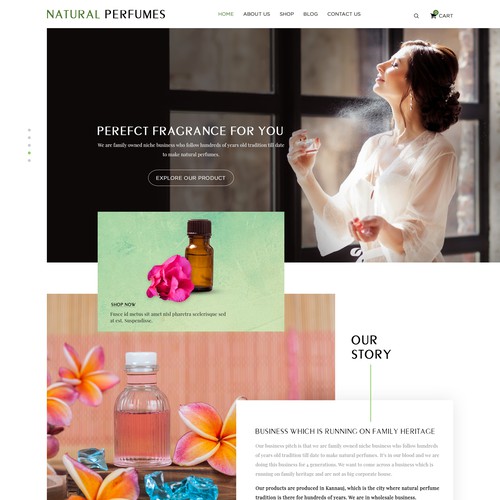 Web page design contest entry by CCDesignSol