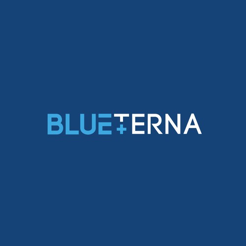 Blueterna Branding contest Design by Imam H.