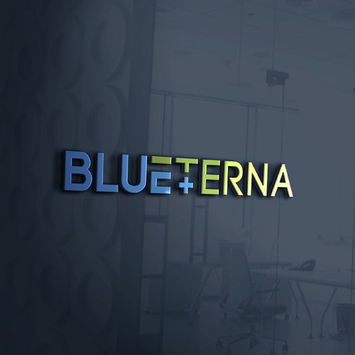Blueterna Branding contest Design by Imam H.