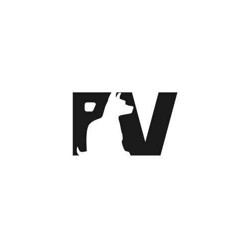 Pv logo with the title 'Create me a simple logo with the  letters P V  in the logo '