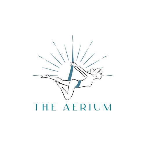 Aerial Acrobatics Design by seungb