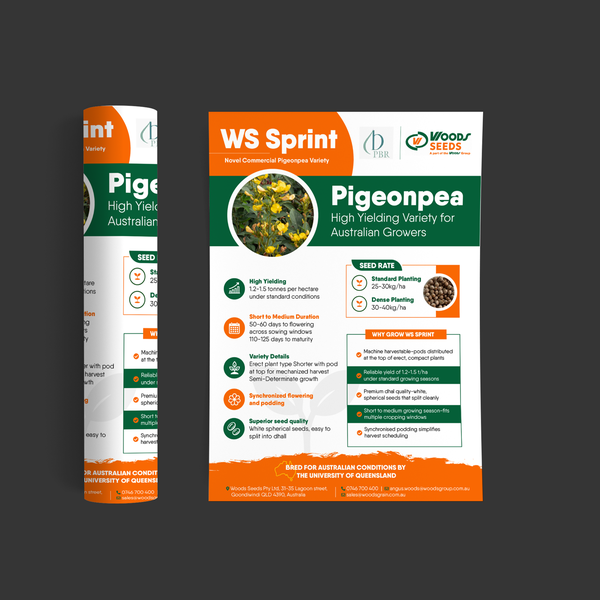 Product flyer