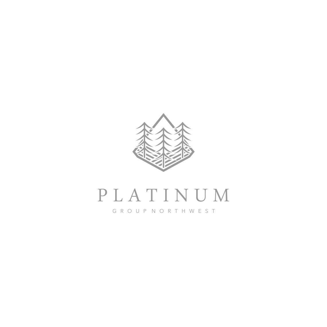 Platinum Logos - Free Platinum Logo Ideas, Design & Templates