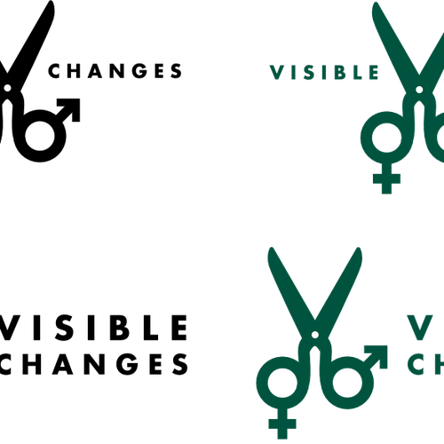 Create a new logo for Visible Changes Hair Salons Réalisé par Mike Arnold
