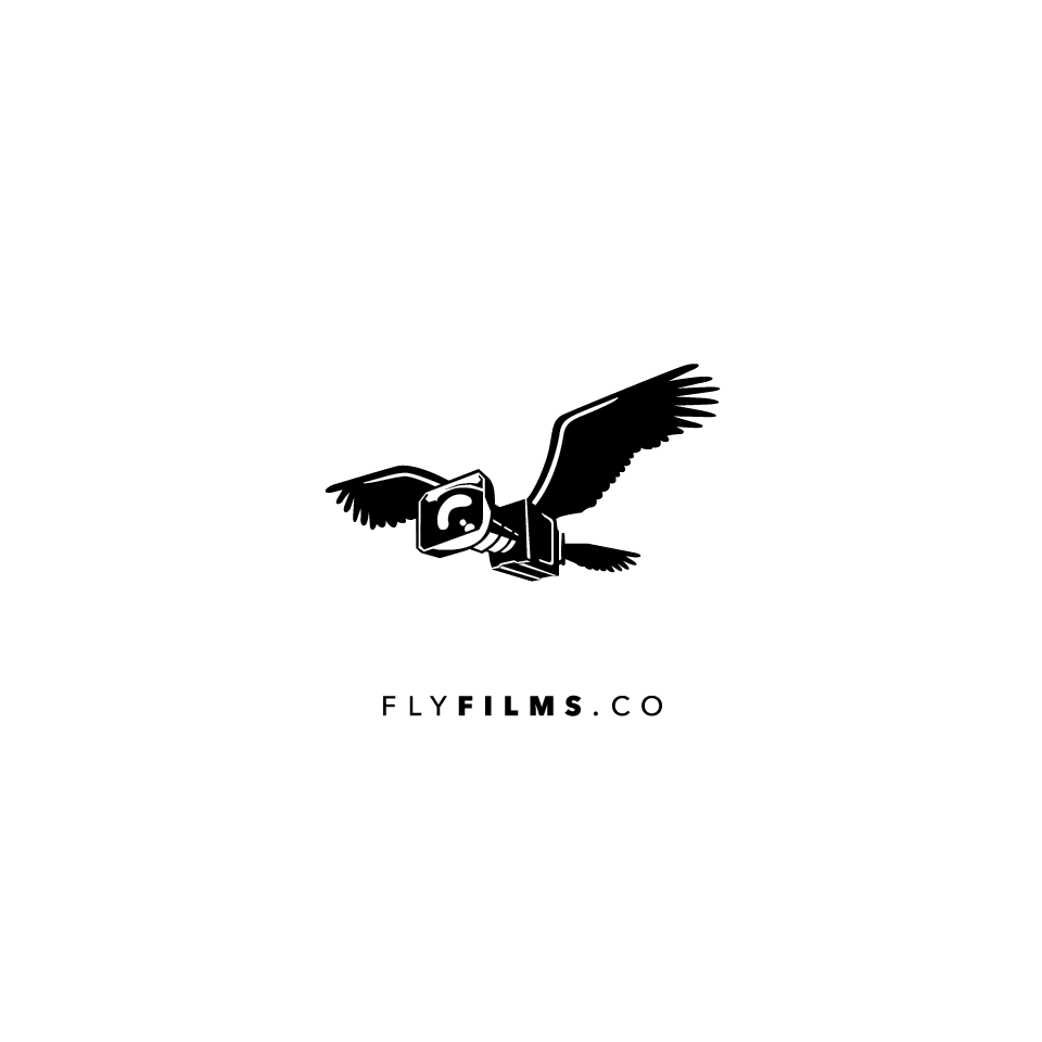 Flying bird logo with the title 'Drone Company specializing in photos and cinema photography needs a killer logo.'