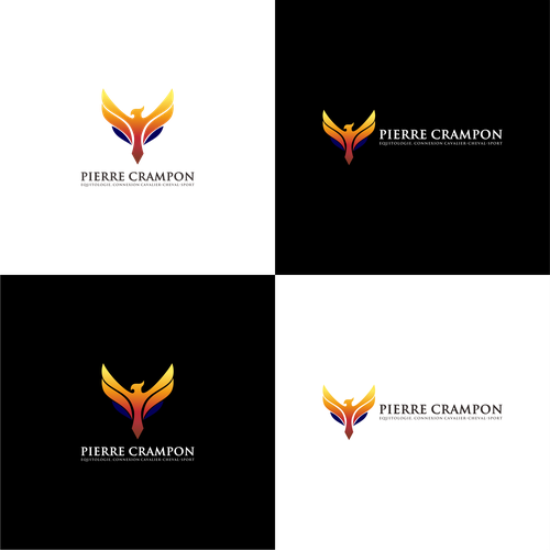  contest entry by *Anomali*