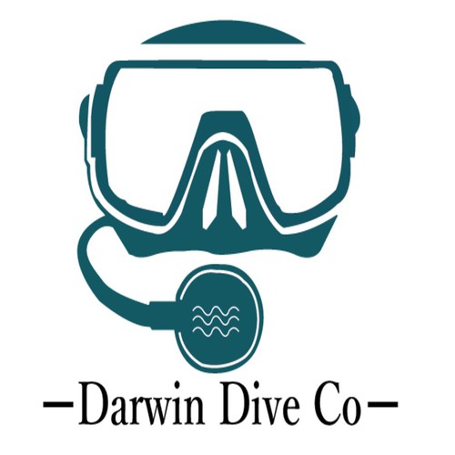 Create a dynamic logo for a diving company | Logo design contest