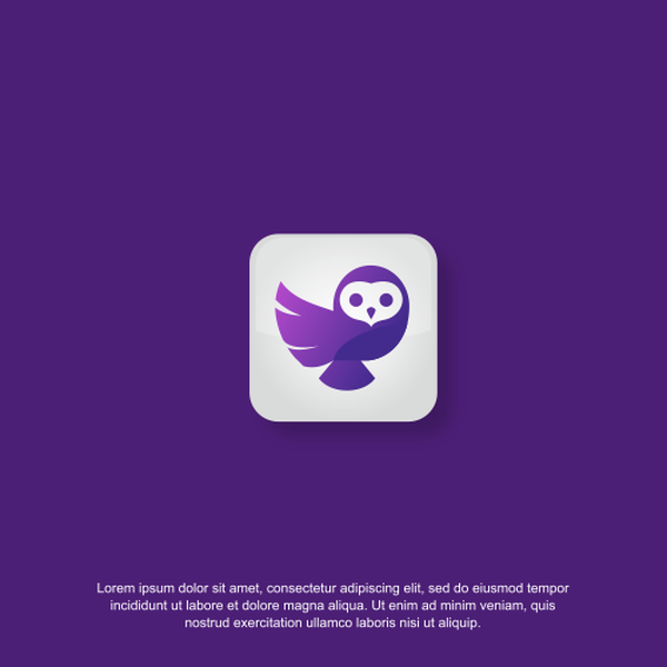 Logo design for Socialwise