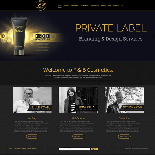 Black & gold themed website design Design by WordpressExpert