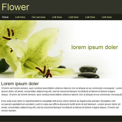 1-3 Page Website Template Design von Creative Chef