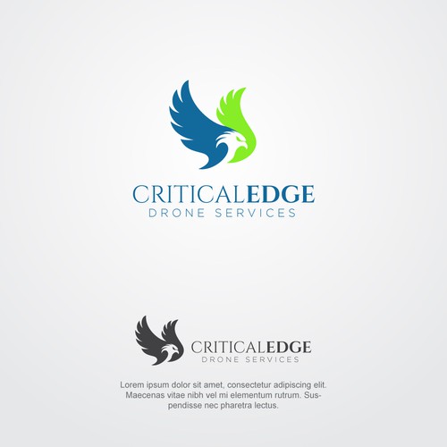 We need a logo design for new Drone inspection and survey company Design by hasnagraphics