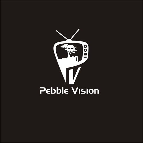 PebbleVision Design by Abacusgrp
