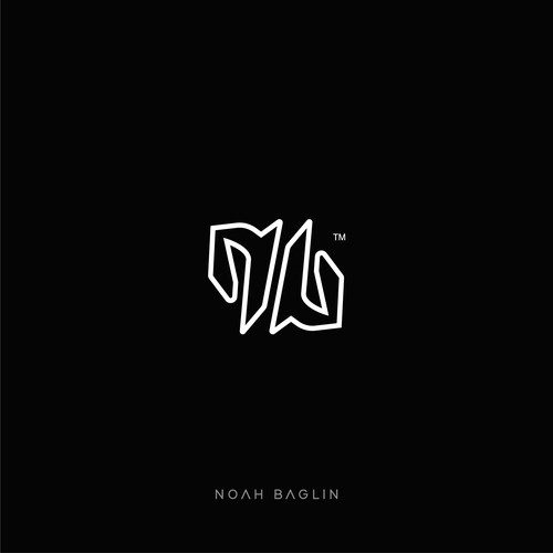 Name Initials - NB - Racing Driver Design by NB201