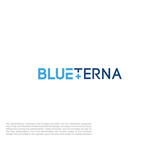 Blueterna Branding contest Design by Imam H.