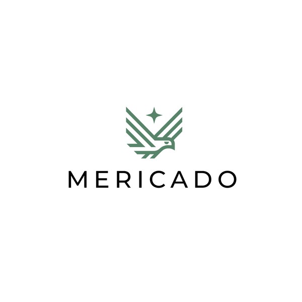 Geometric Line Art Eagle Logo Design for MERICADO