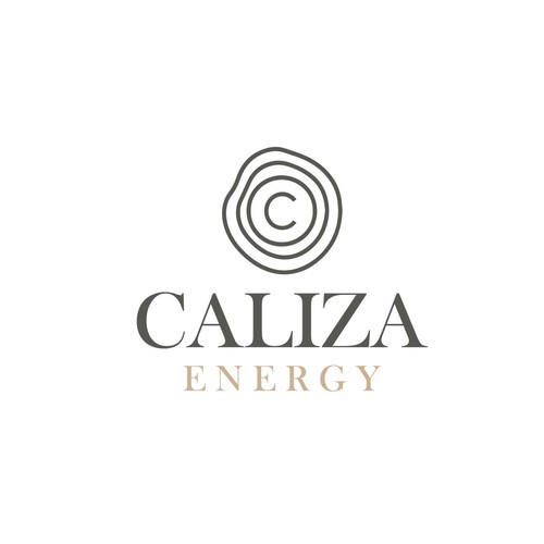 Energy startup Logo to impress investors and early employees Design by FreehubCo™