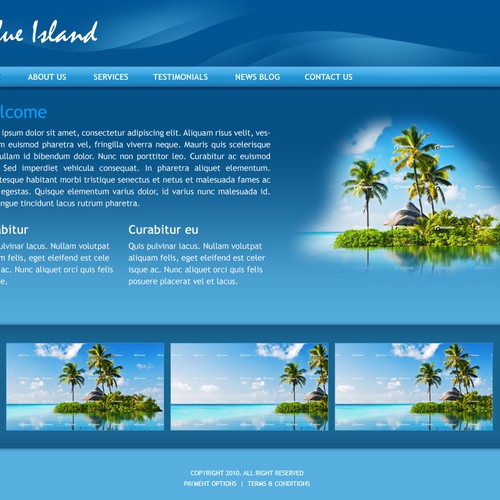 1-3 Page Website Template Design von NaluTC